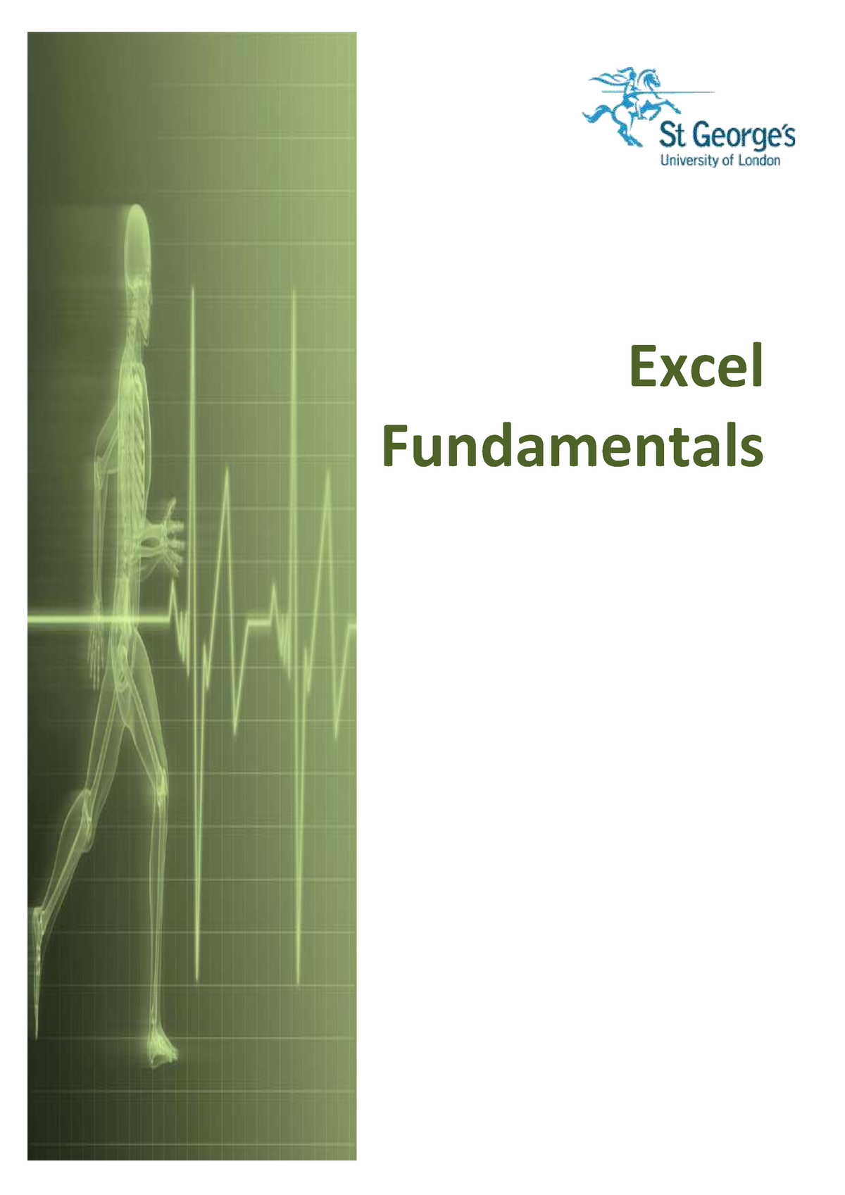 excel-fundamental-google-data-analytics-certificate-excel