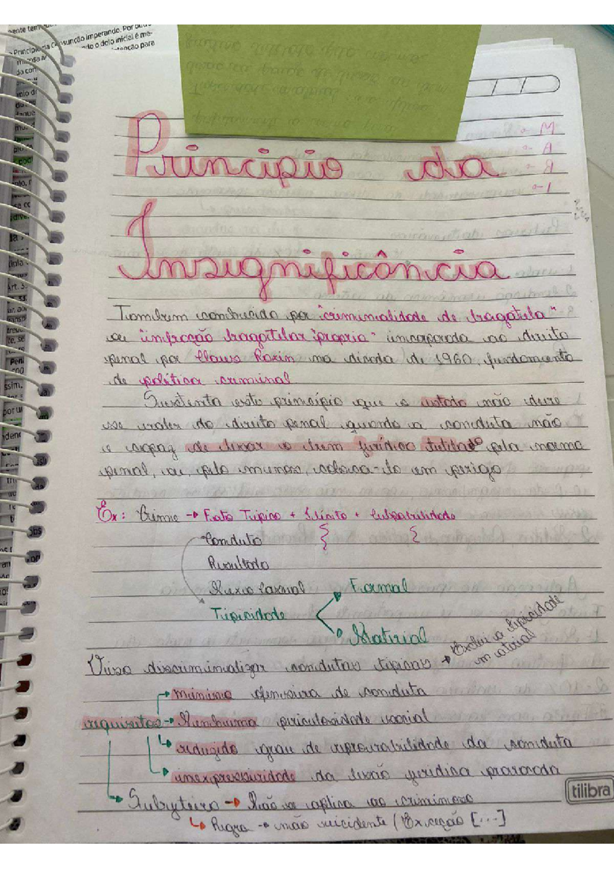 Principio da insi - Direito penal - Studocu