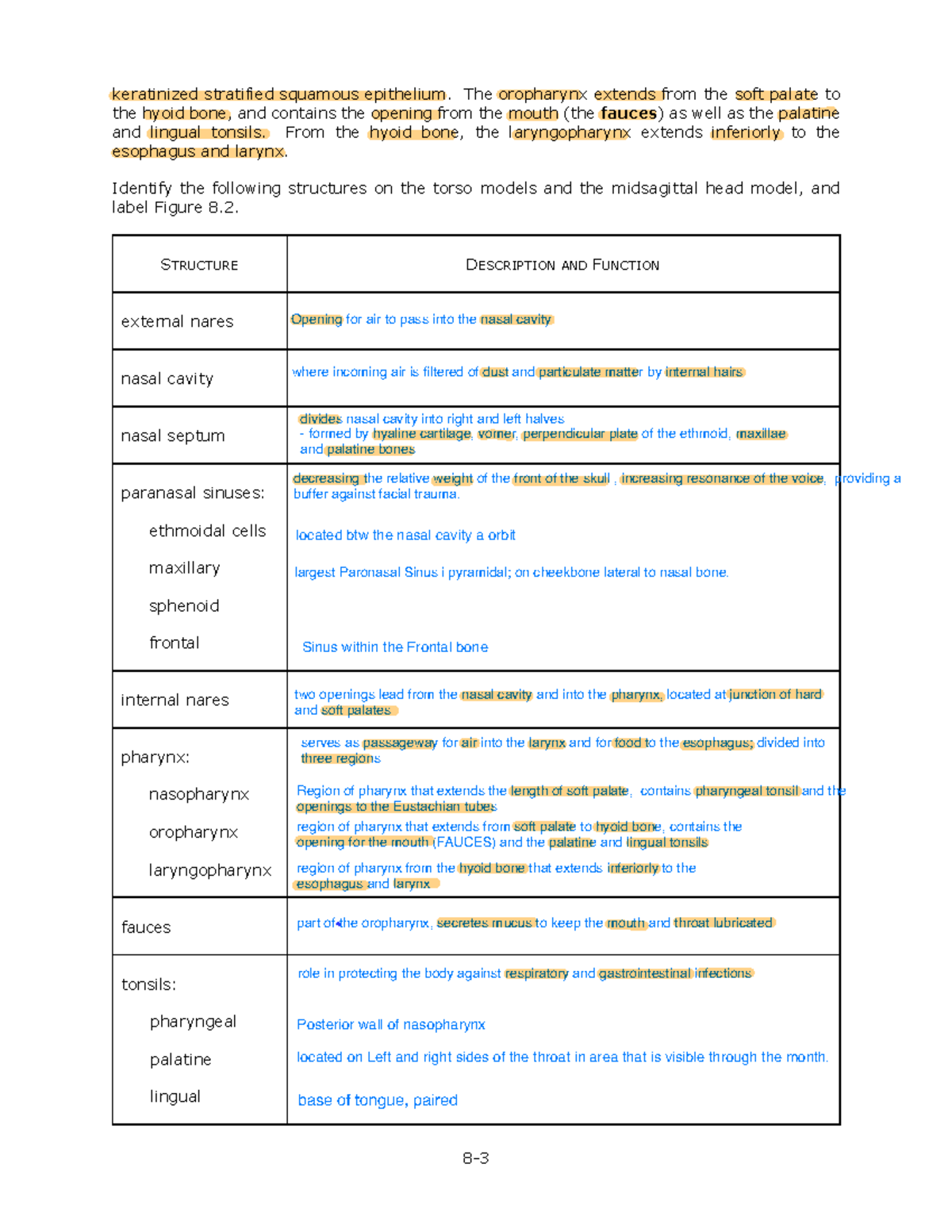 LAB 8 - Respiratory - Lab 8 - Answer Key - 8- keratinized stratified ...
