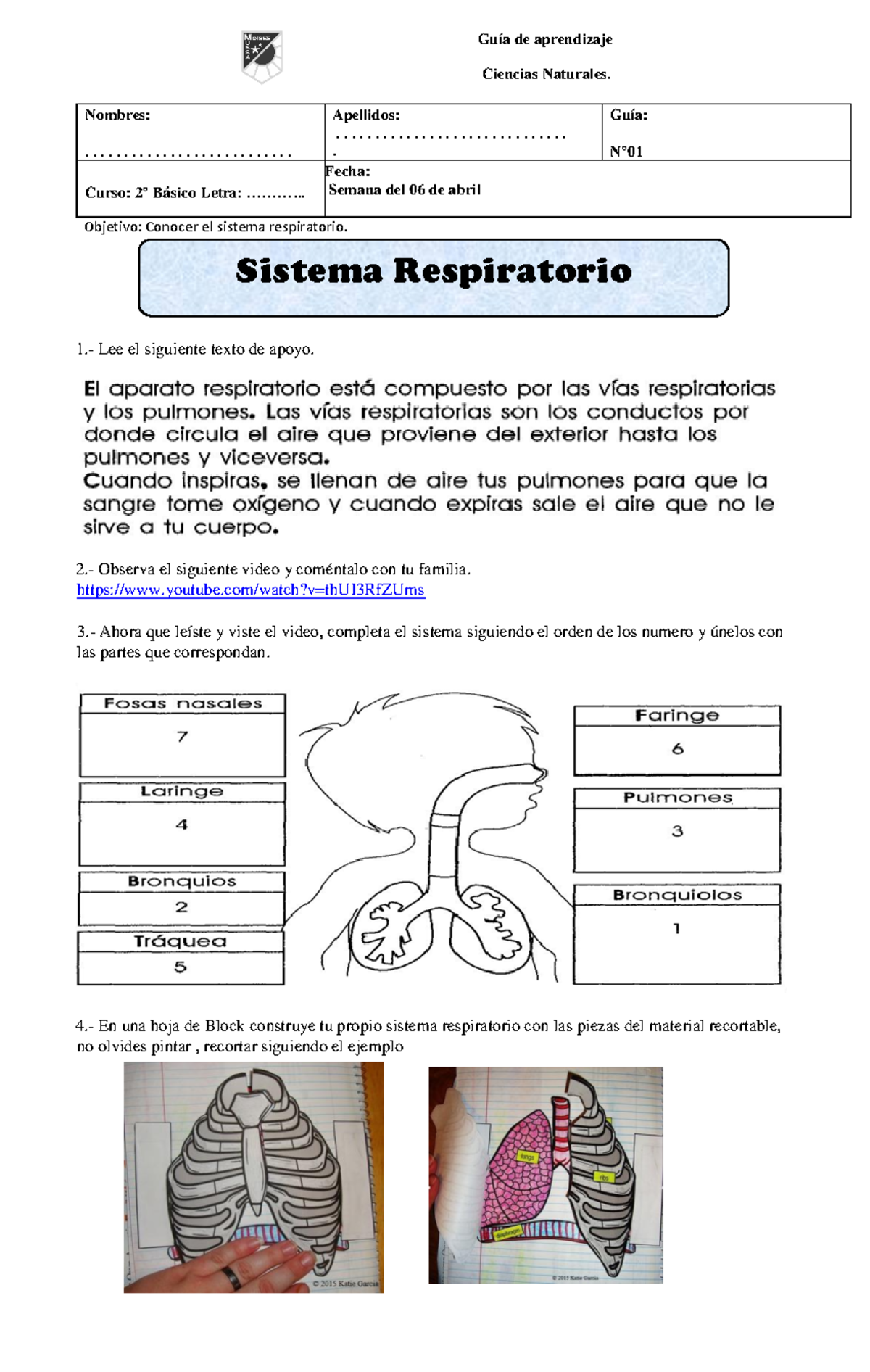 Ciencias 2 Basico GUIA1 Semana 4 - Guía de aprendizaje Ciencias ...