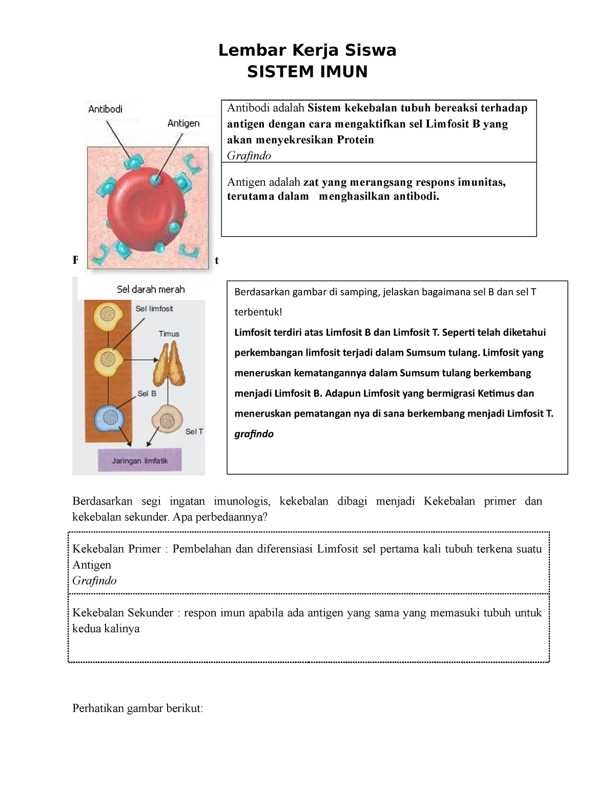 LKPD Sistem IMUN - Bio - Lembar Kerja Siswa SISTEM IMUN Antibodi Adalah ...