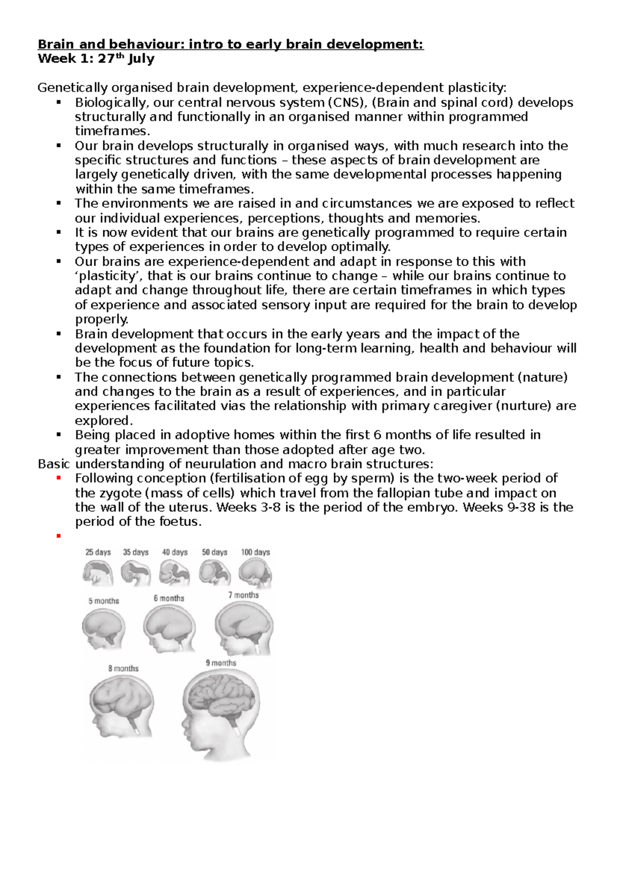 Brain development Lecture notes Brain and behaviour intro to early