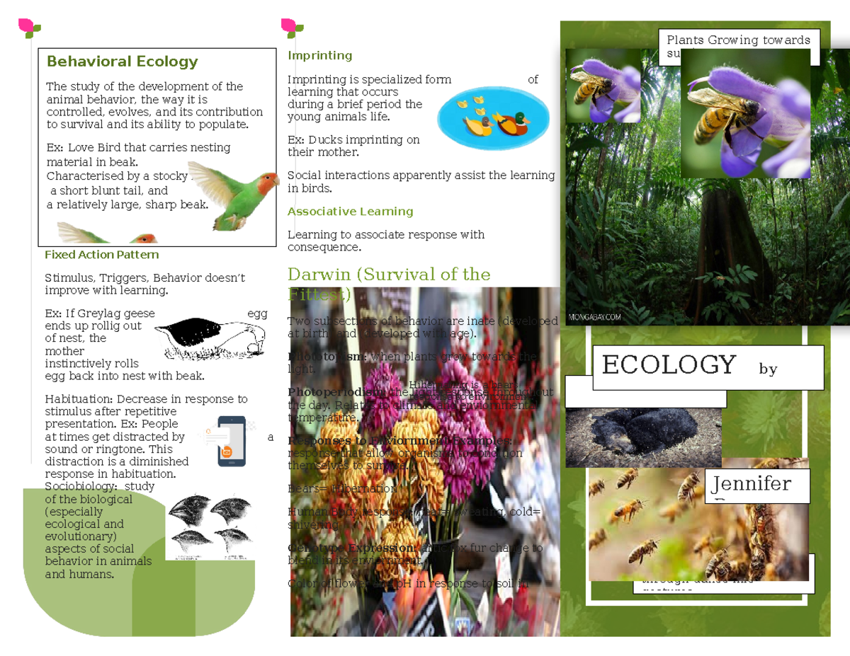 Ecology brochure - Fixed Action Pattern Stimulus, Triggers, Behavior ...