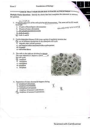 BIOL1411 Exam1 Key, Multiple Choice And Short Answer Spring 2020 - Exam ...