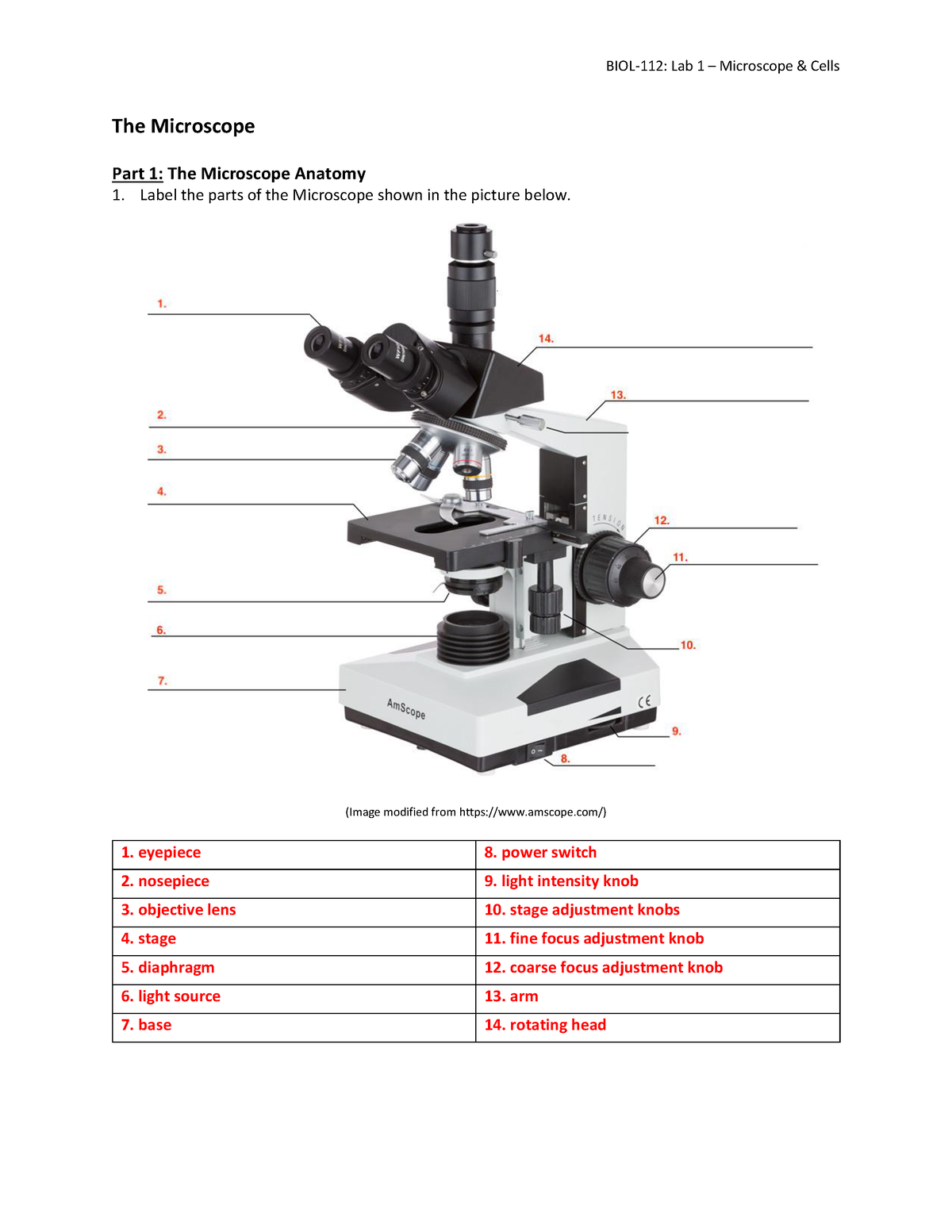 BIOL 112 Lab 1 Activtiy Worksheet Microscope Cells The Microscope