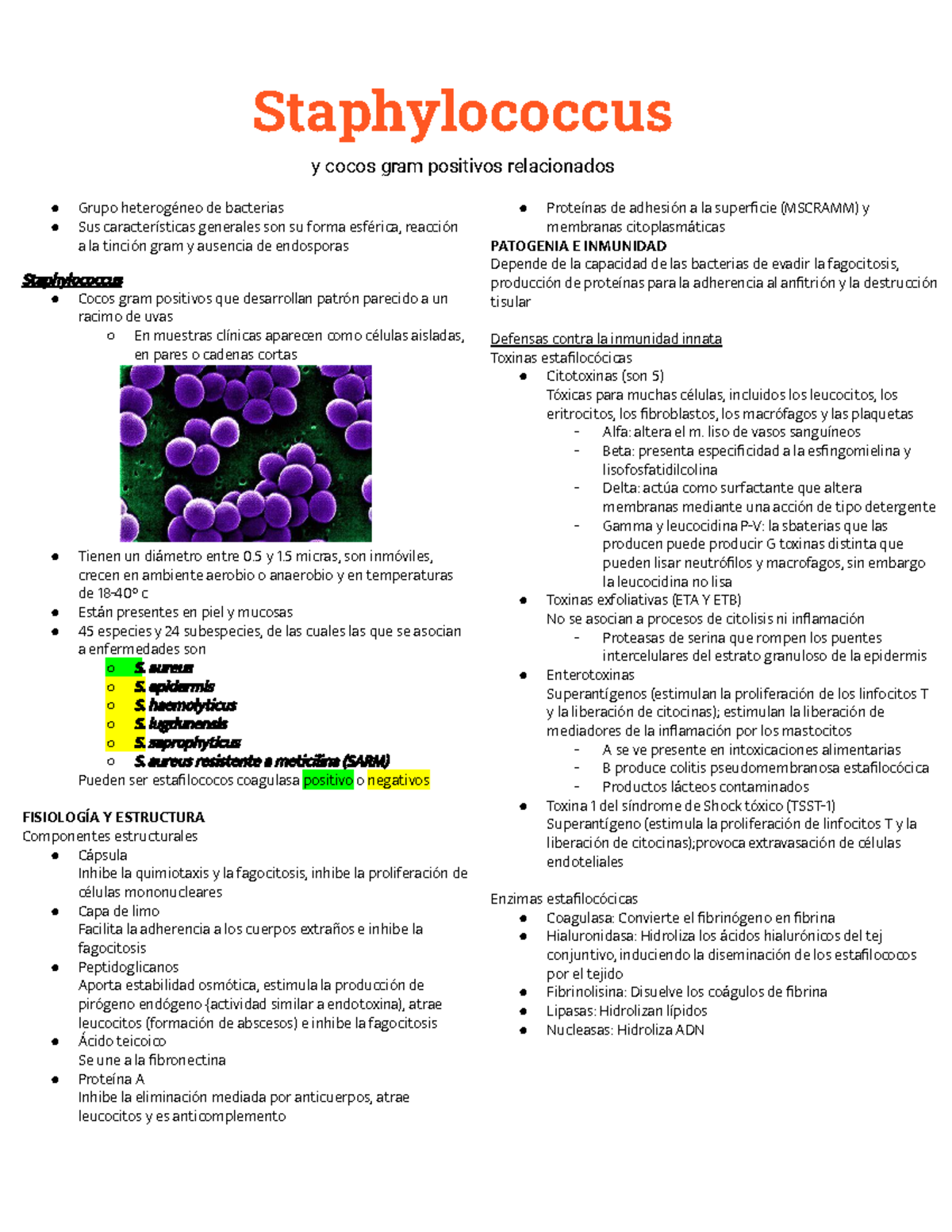 Staphylococcus Streptococcus Staphylococcus Y Cocos Gram Positivos