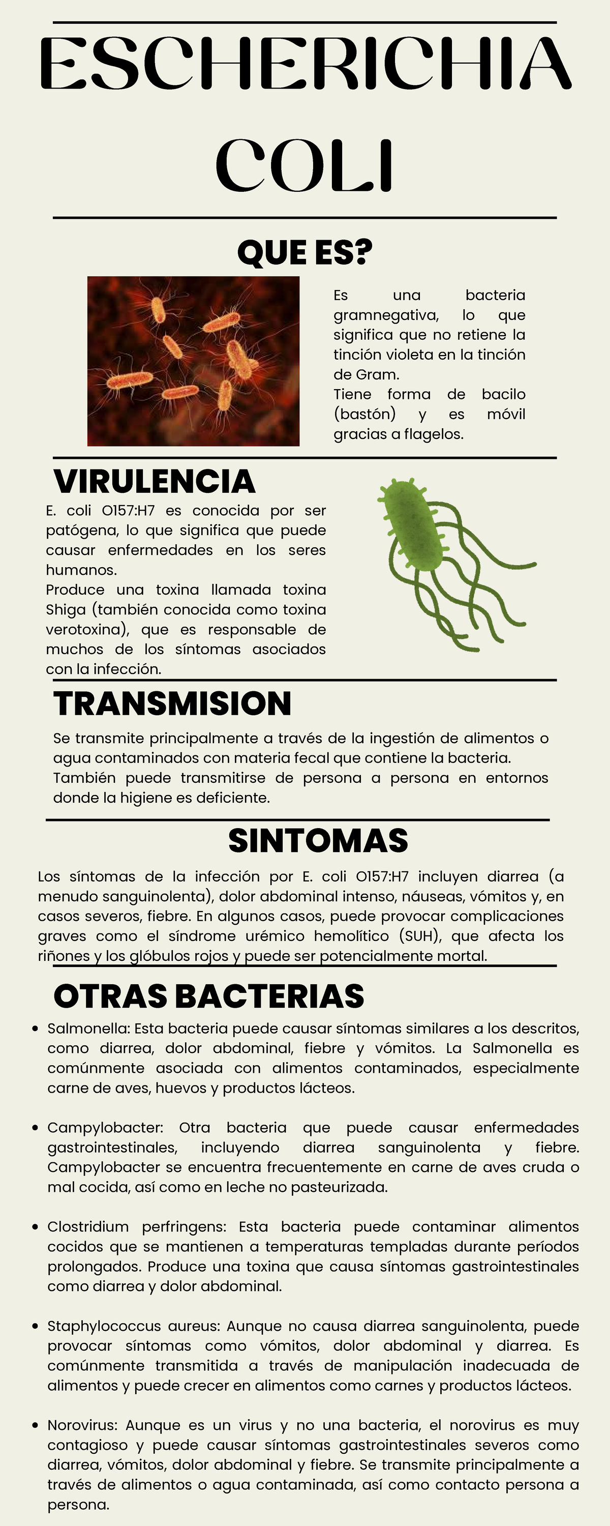 Infografía d E COLI - ESCHERICHIA COLI QUE ES? Es una bacteria ...