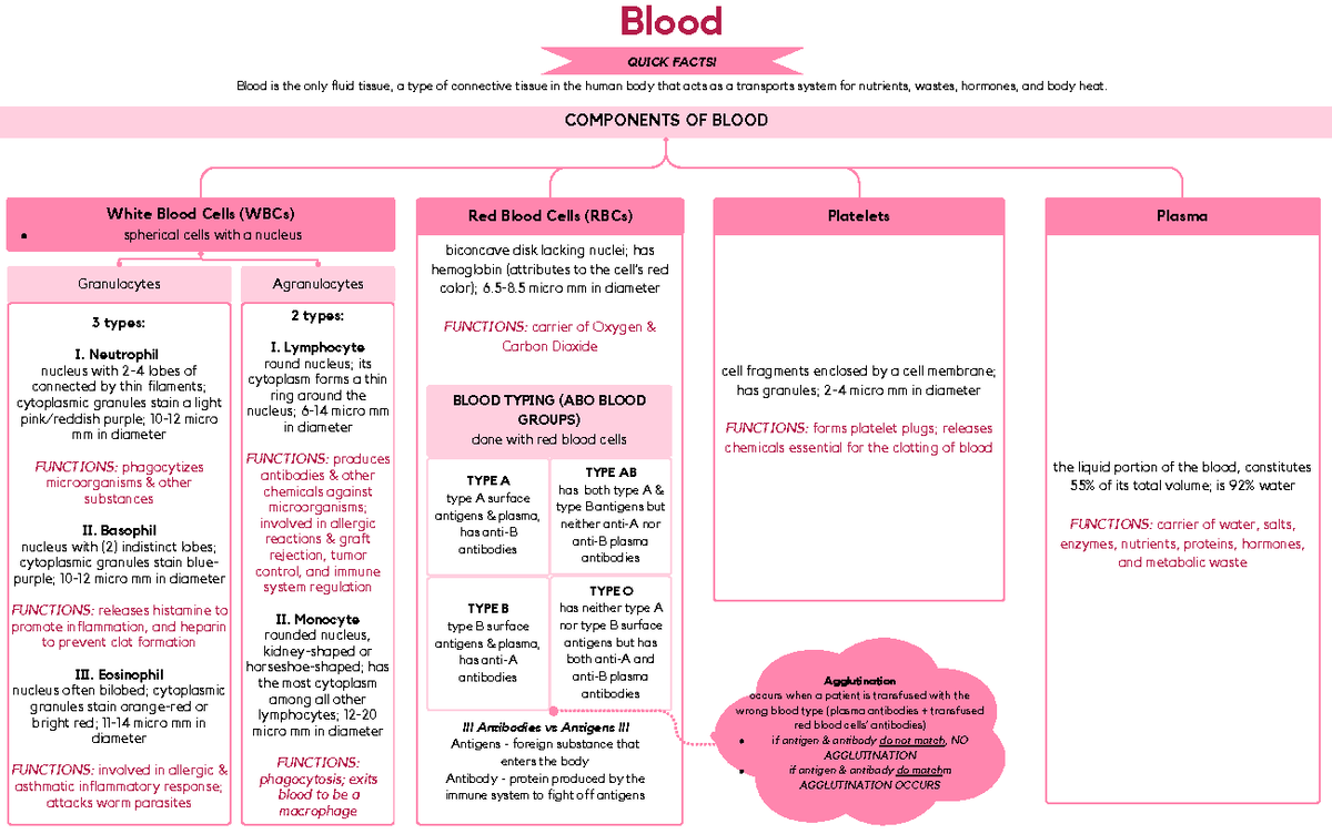 Blood (Components & Typing) - Red Blood Cells (RBCs) Platelets ...