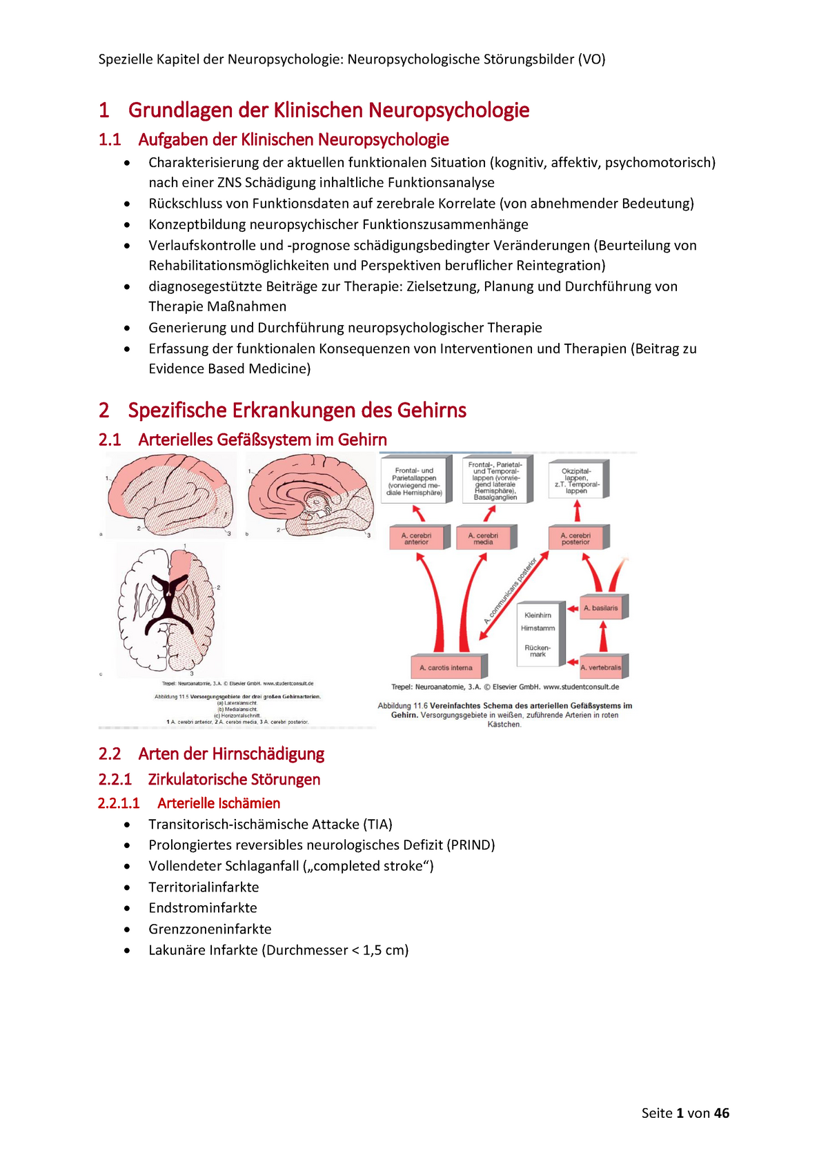 Sk Neuropsychologie Zusammenfassung Der Folien Warning Tt Undefined Function 32 Warning 