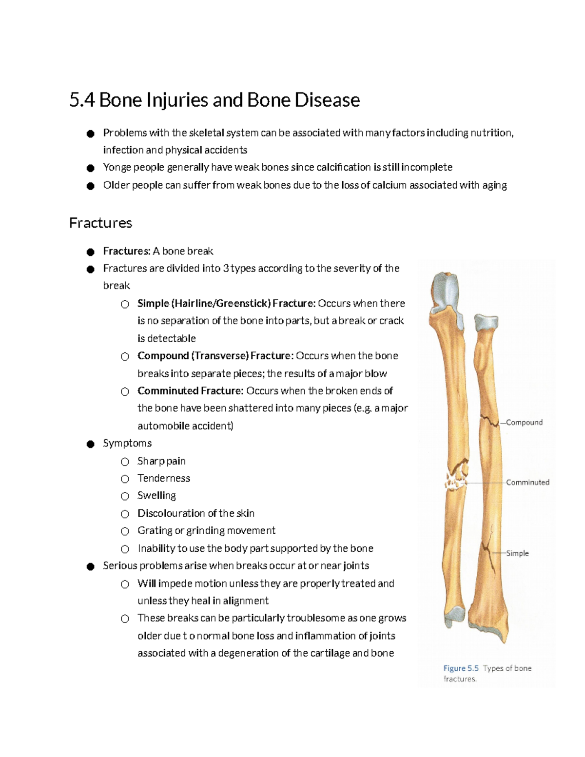 5.4 Bone Injuries and Bone Disease - 5 Bone Injuries and Bone Disease ...