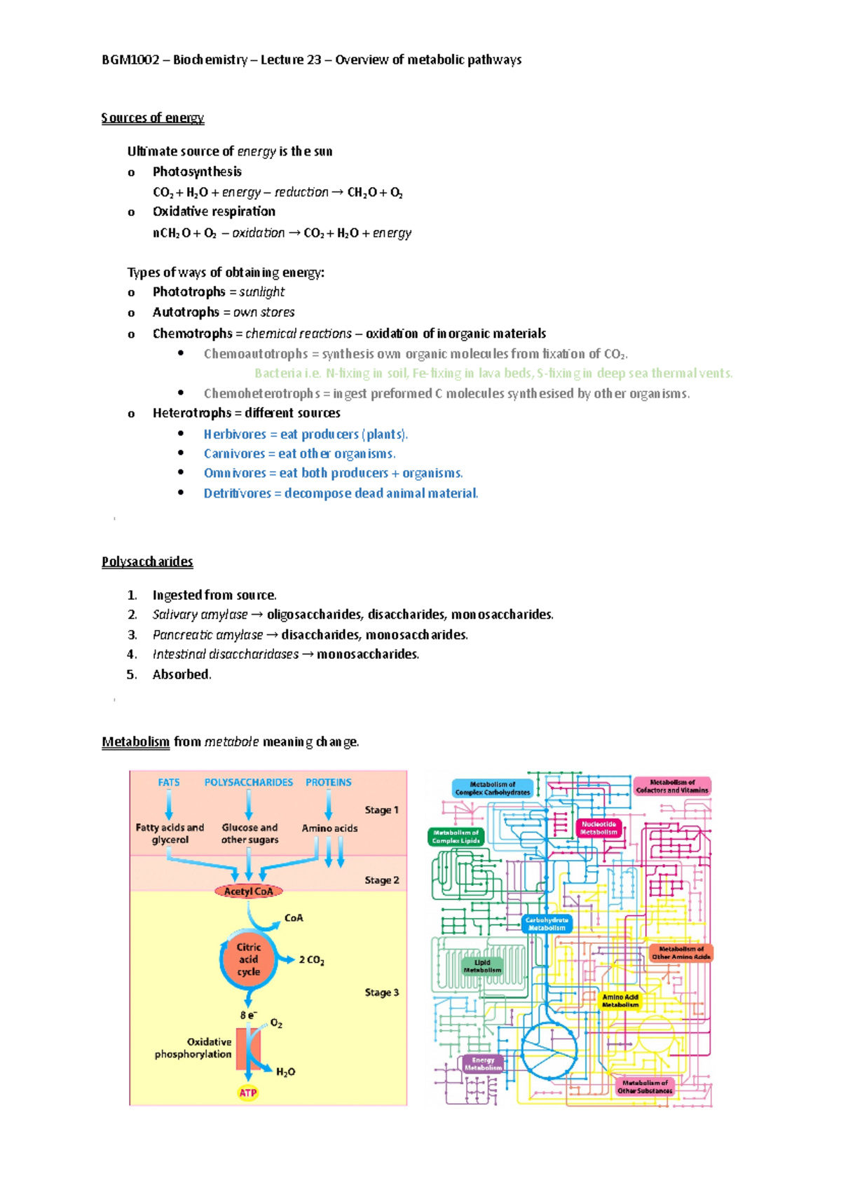 BGM1002 L23 Overview of metabolic pathways - Sources of energy Ultimate ...