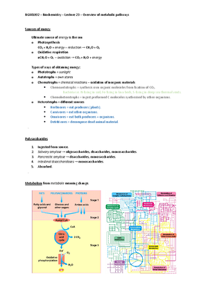 L13, 14, 15 - DNA structure, function and replication - L15/16/17 ...