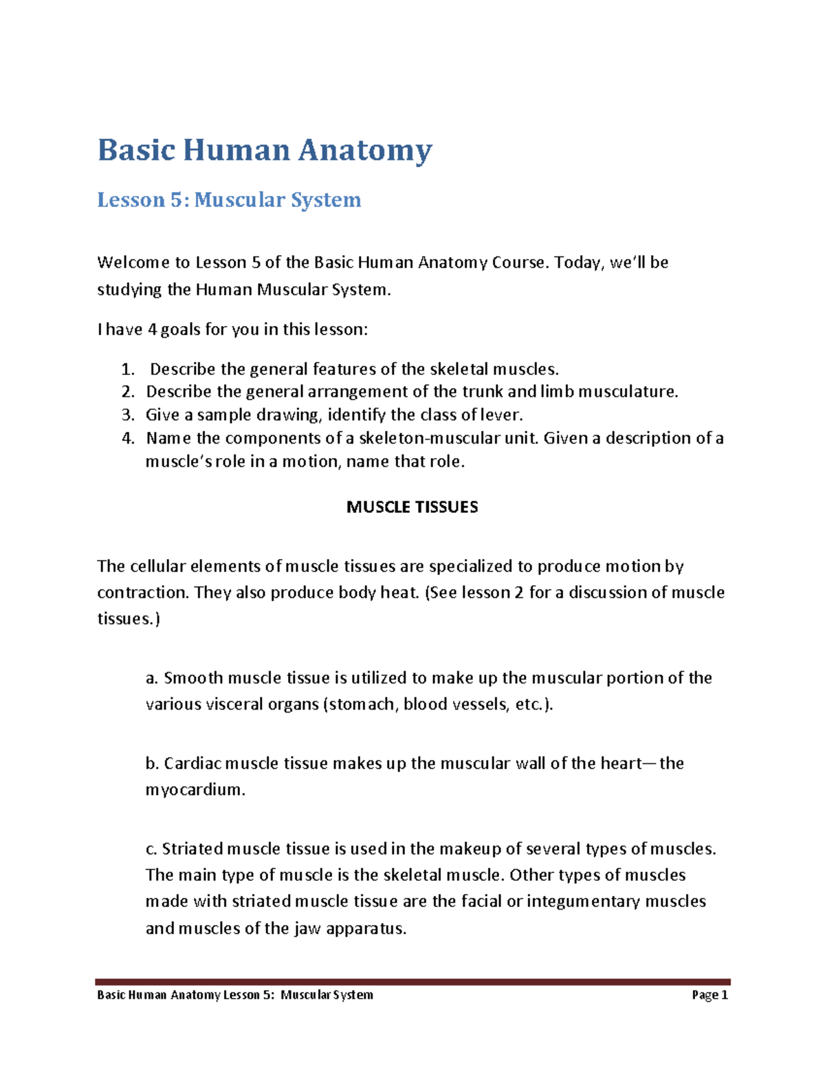 Anatomy 5 Lecture Notes - Basic Human Anatomy Lesson 5: Muscular System ...
