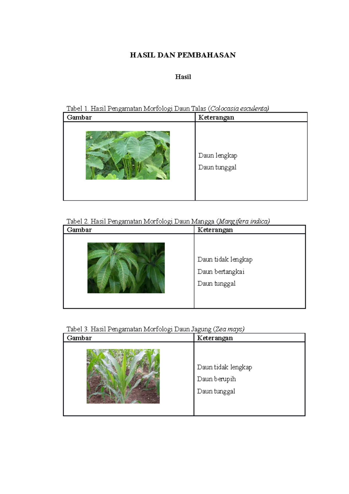 Laprak Biologi Morfologi Daun BAB IV - HASIL DAN PEMBAHASAN Hasil Tabel ...