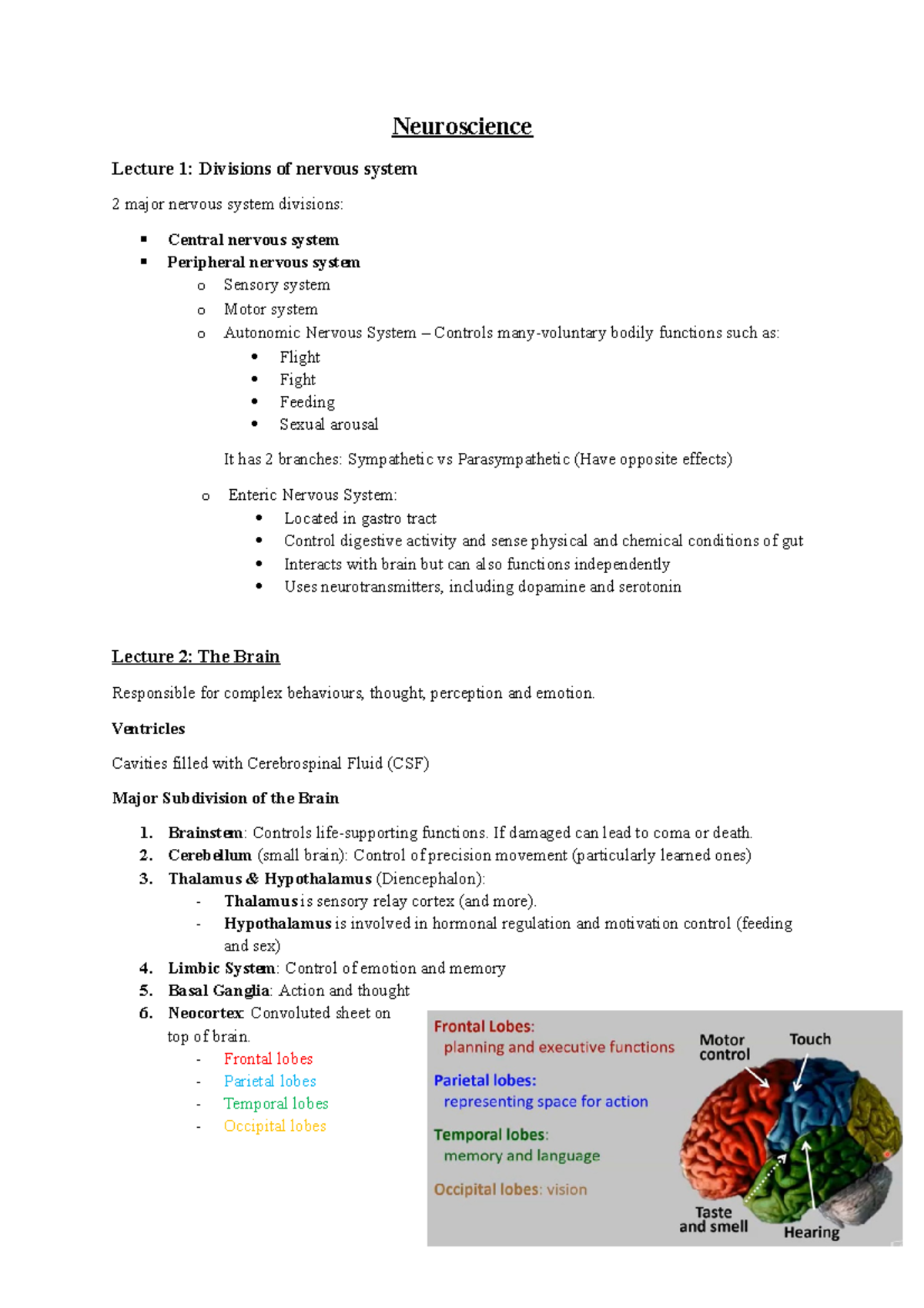 PSYC Notes - Note For Final Exam - Neuroscience Lecture 1: Divisions Of ...