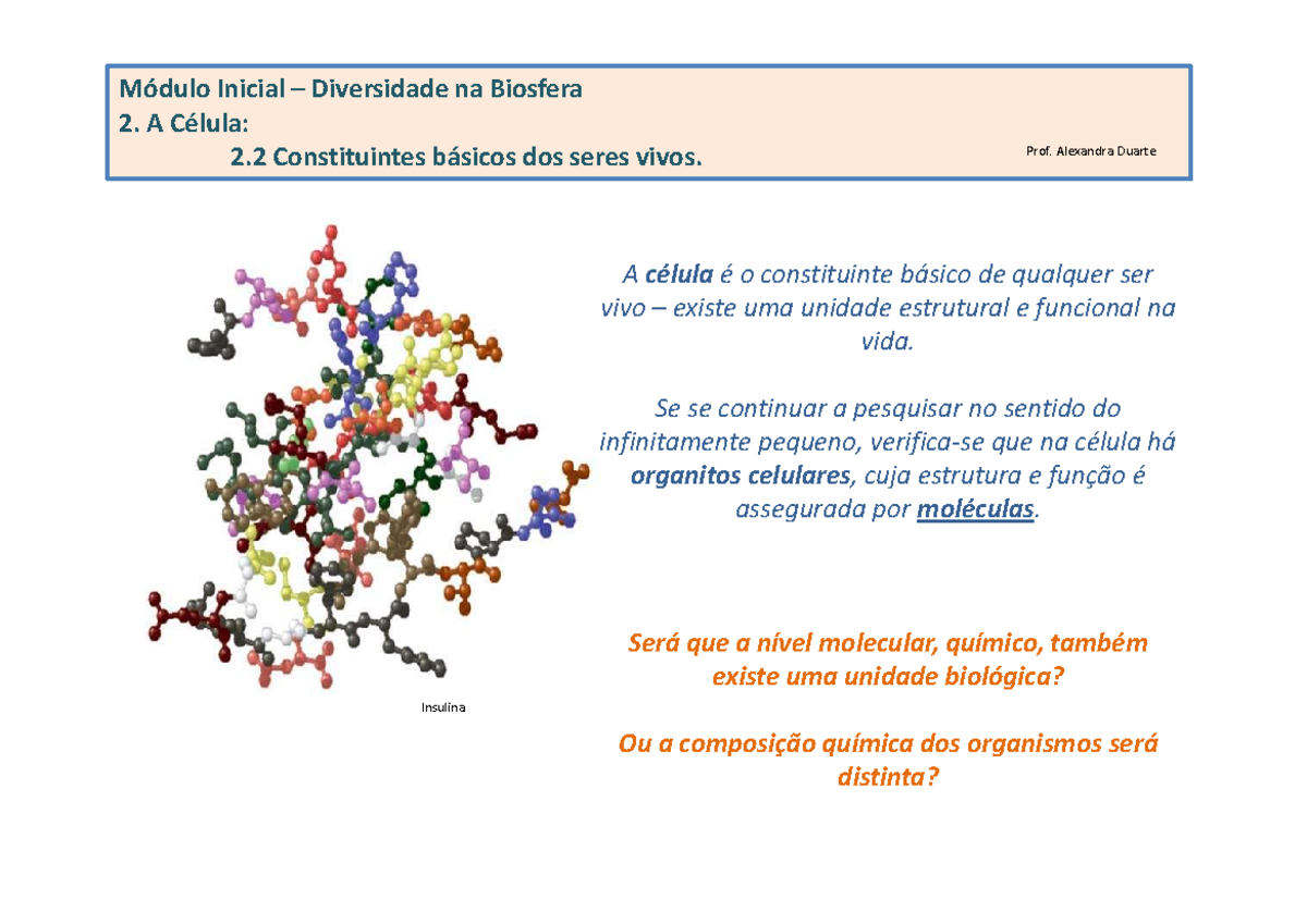 Constituintes básicos dos seres vivos - Módulo Inicial – Diversidade na ...