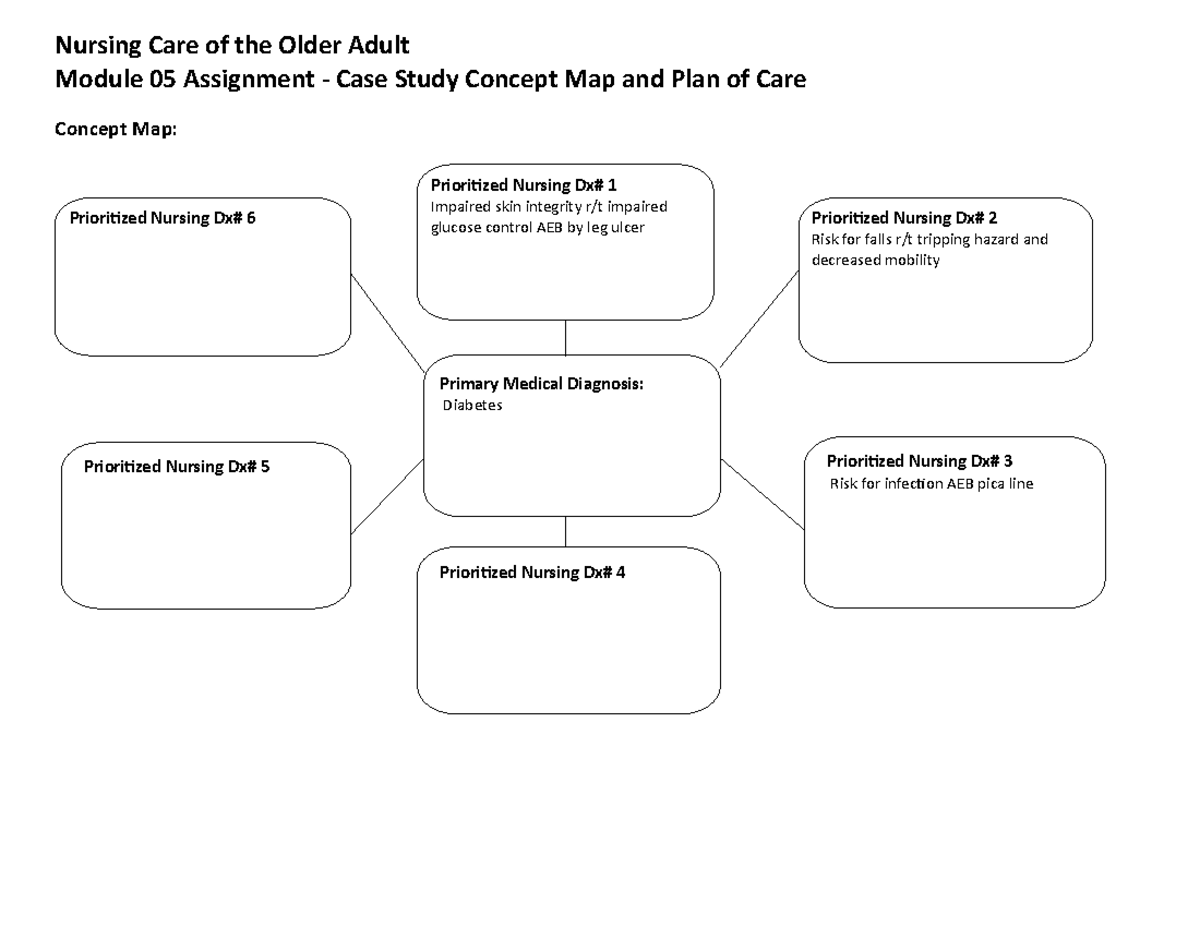 concept-map-and-plan-of-care-worksheet-nursing-care-of-the-older