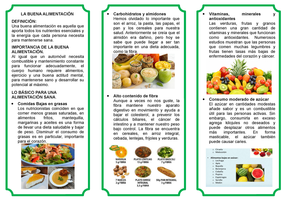 Triptico Una Buena Alimentación La Buena AlimentaciÓn DefiniciÓn Una Buena Alimentación Es 0980