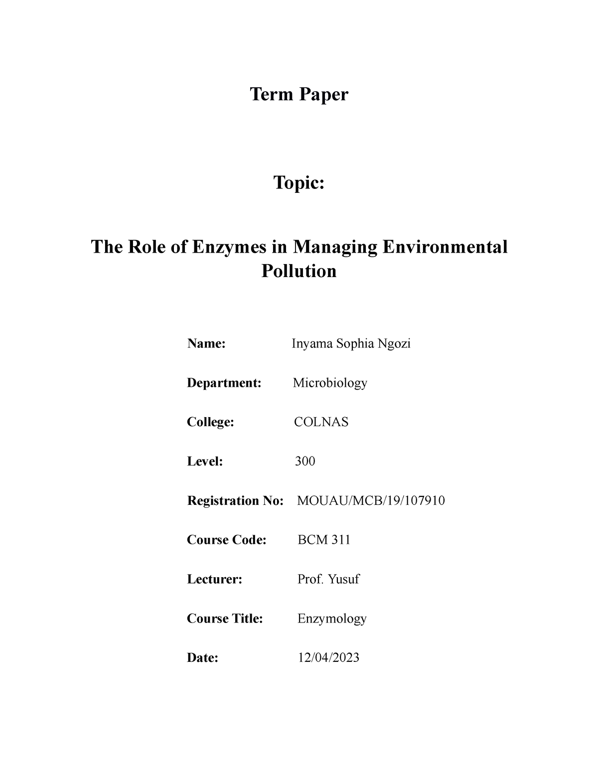 term paper on development and environment