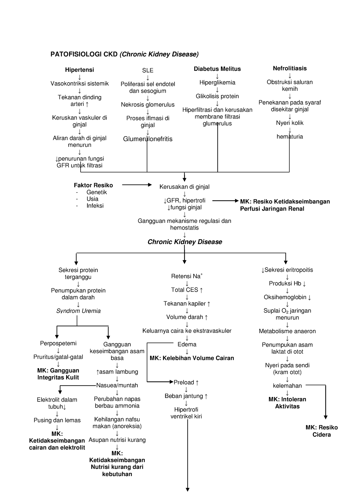 Patofisiologi Kolesterol