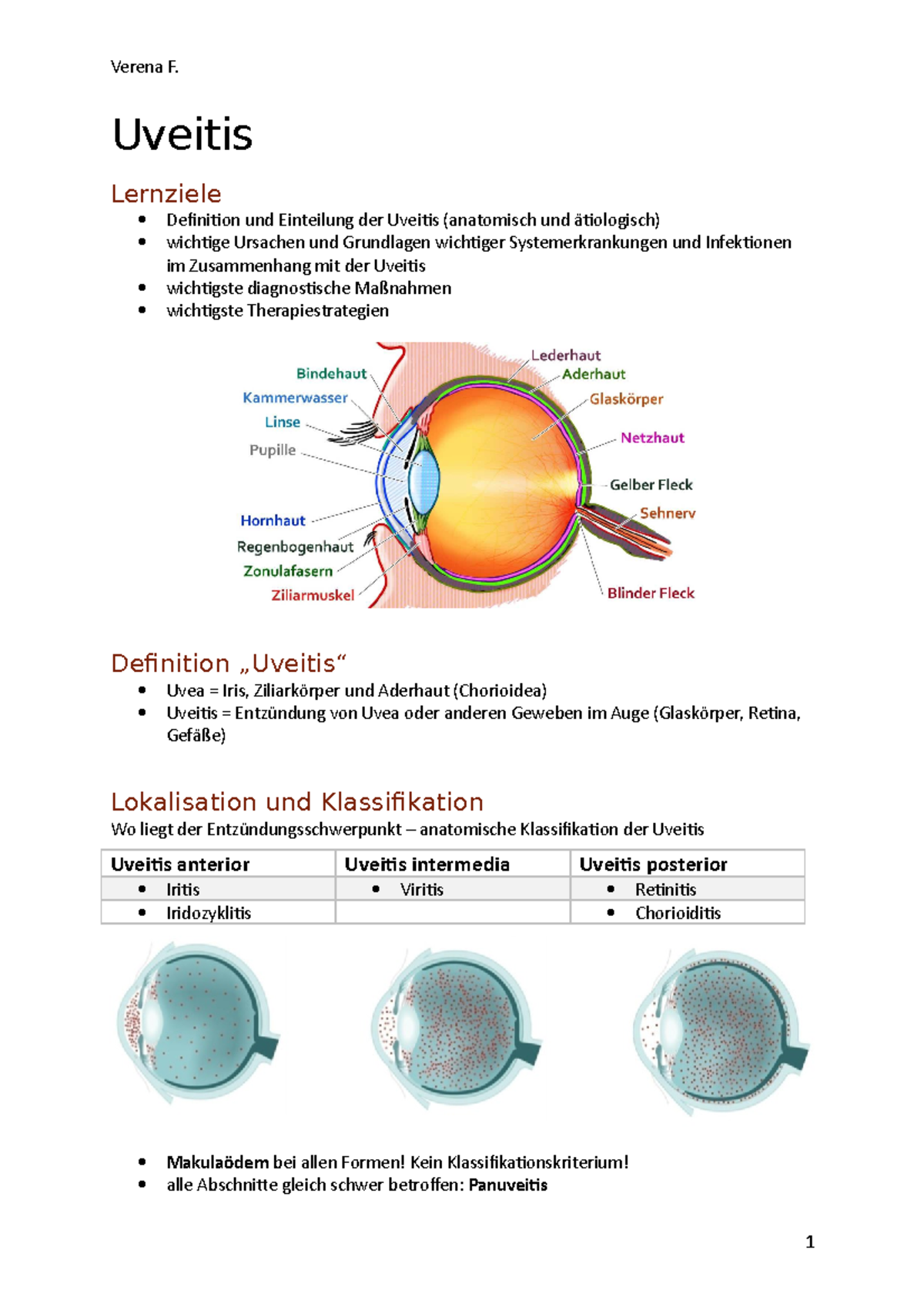 Uveitis Toxoplasmose Und Augenbeteiligung – JKAUL