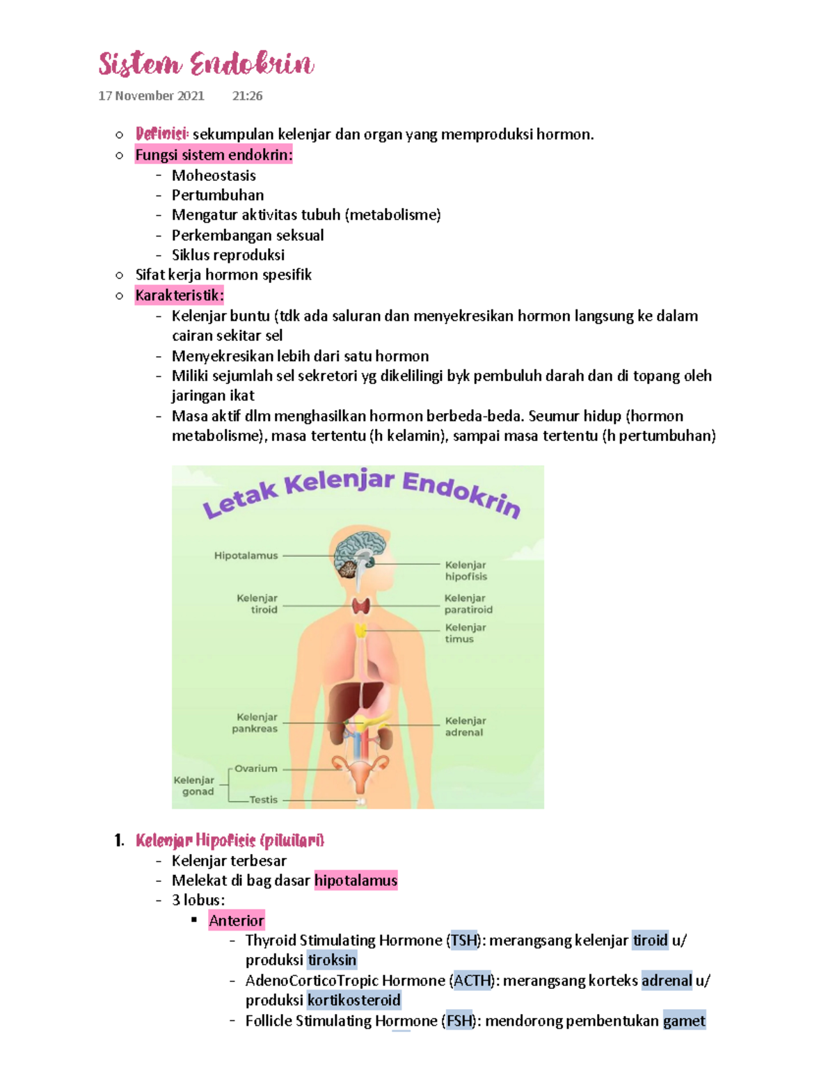 Sistem Endokrin - Definisi: Sekumpulan Kelenjar Dan Organ Yang ...