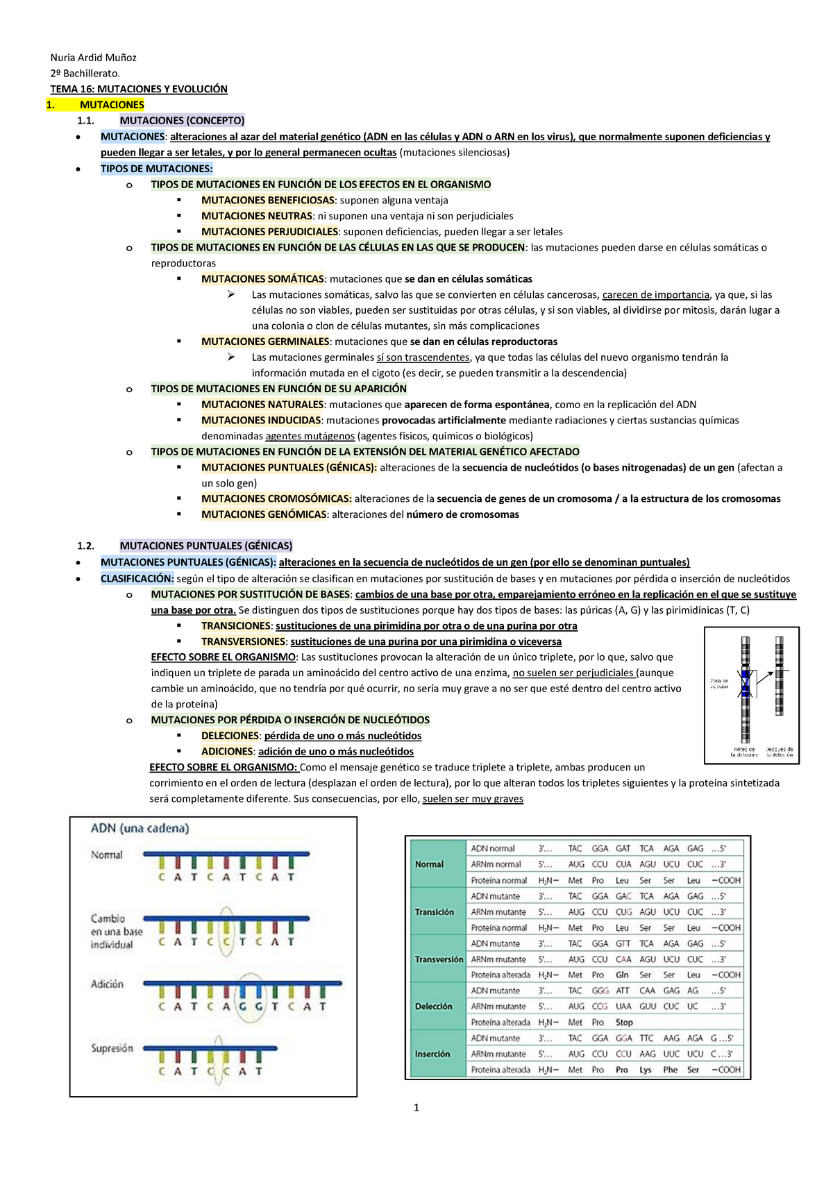 TEMA 16 "Mutaciones Y Evolución" 2º BACHILLERATO BIOLOGÍA - 2º ...