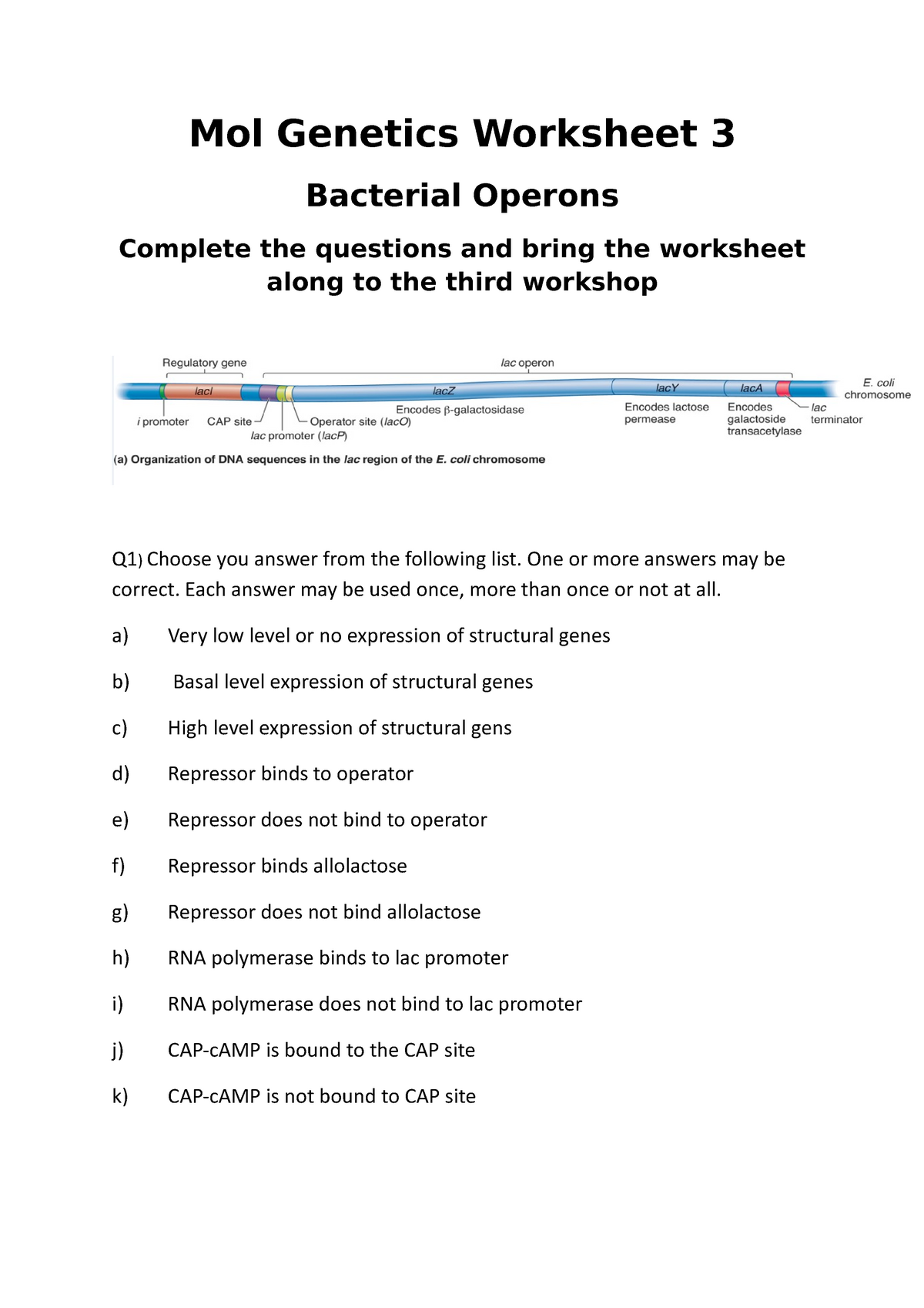 workshop-3-answers-mol-genetics-worksheet-3-bacterial-operons-complete-the-questions-and-bring