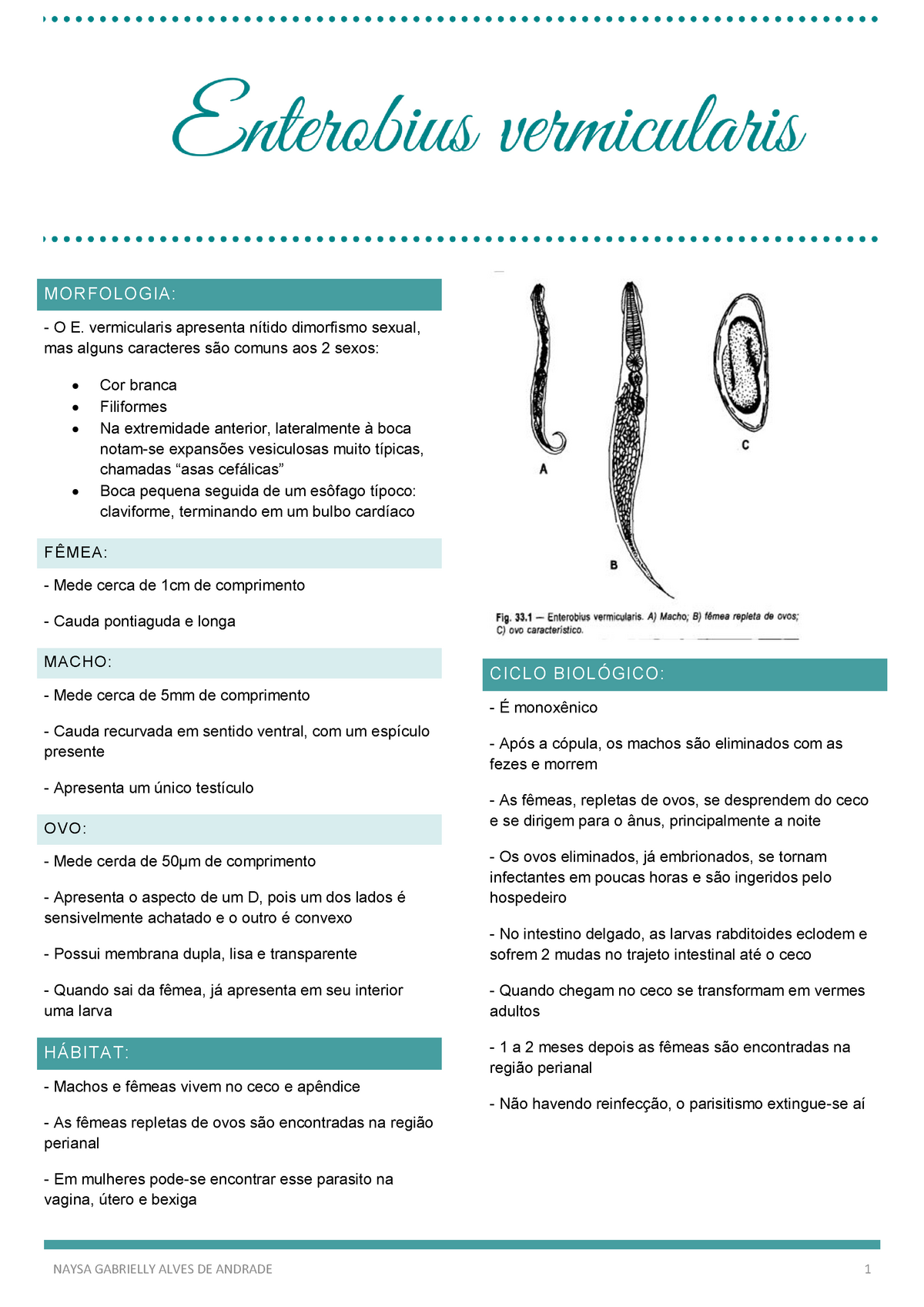 enterobius vermicularis fisiologia