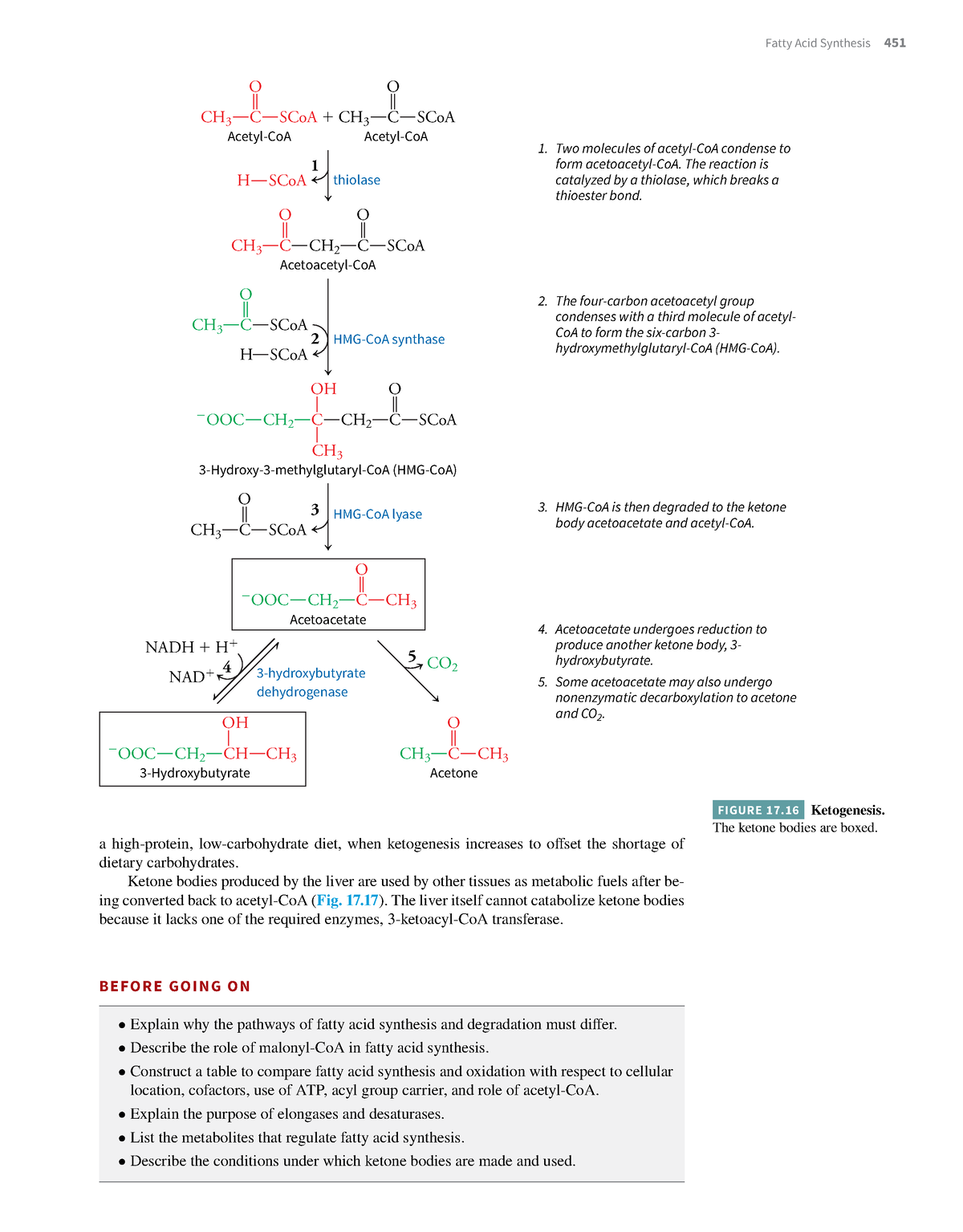 essential-biochemistry-157-fatty-acid-synthesis-451-a-high-protein