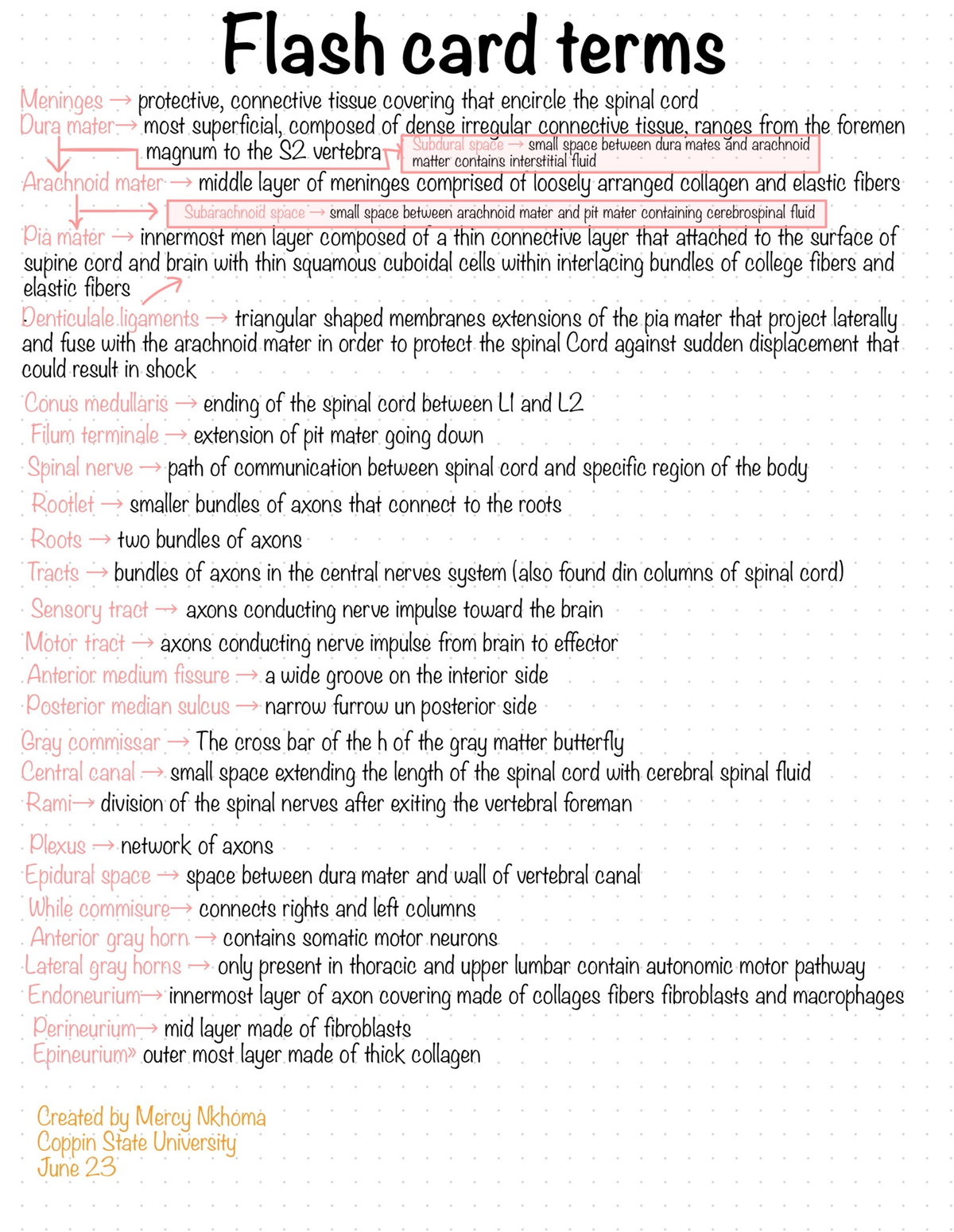 Anatomy And Physiology 2 Chapter 13 Pg 1 - BIOL203 - Studocu