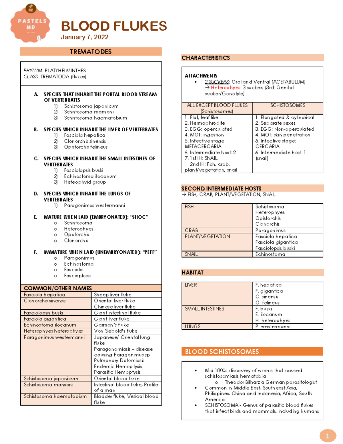 Blood Flukes January 7, 2022 PHYLUM PLATYHELMINTHES CLASS
