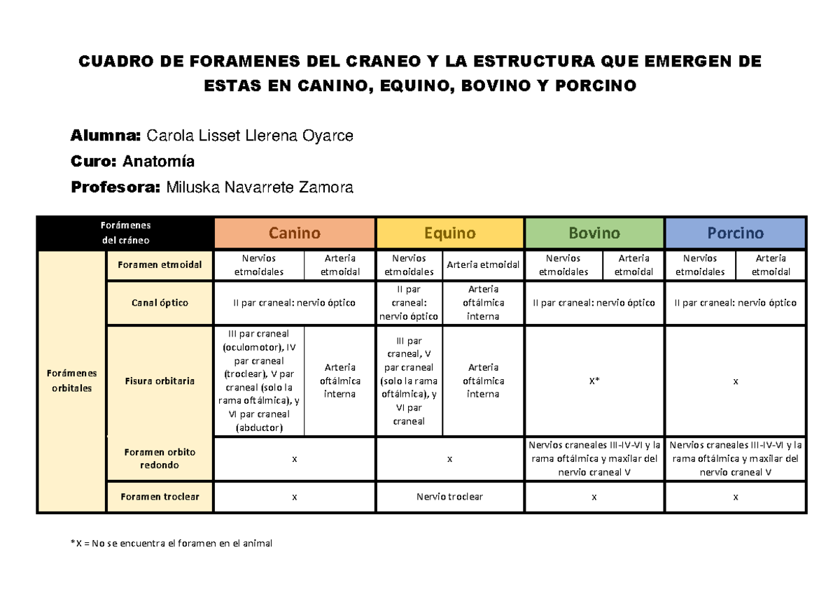 Foramenes del craneo - CUADRO DE FORAMENES DEL CRANEO Y LA ESTRUCTURA ...