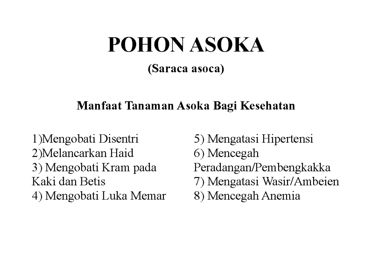 List tanman tanaman part 1 - POHON ASOKA (Saraca asoca) Manfaat Tanaman