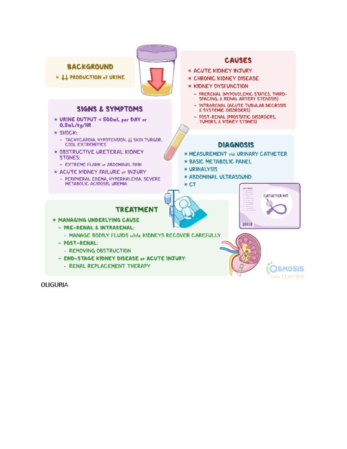 Nr325..look At - Study Info - Nr-325 - Oliguria Anuria - Studocu