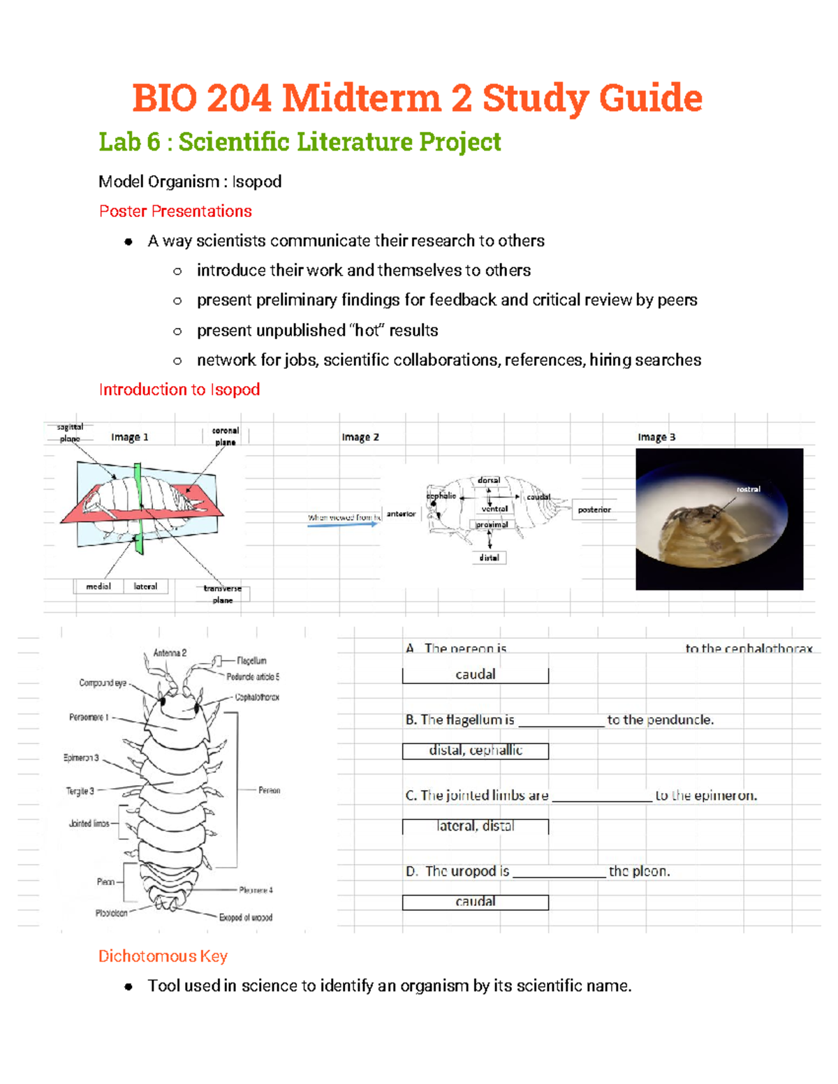 BIO 204 Midterm 2 Study Guide ( Recitations ONLY) - BIO 204 Midterm 2 ...