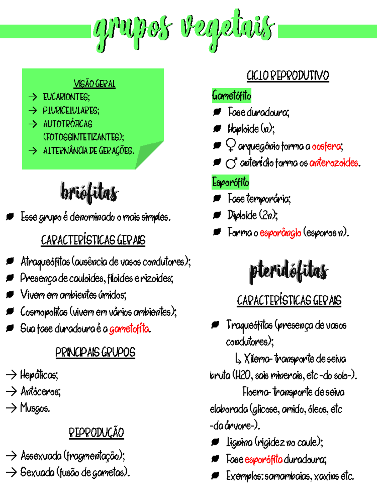 Grupos Vegetais - Resumo - CARACTERÍSTICAS GERAIS Esse grupo é ...