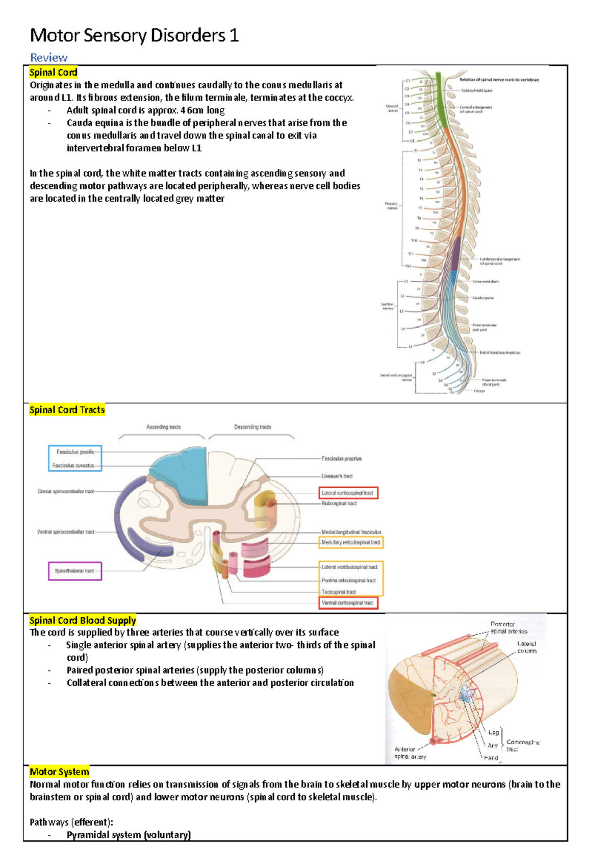 5 - Motor Sensory Disorders 1 - Motor Sensory Disorders 1 Review Spinal ...
