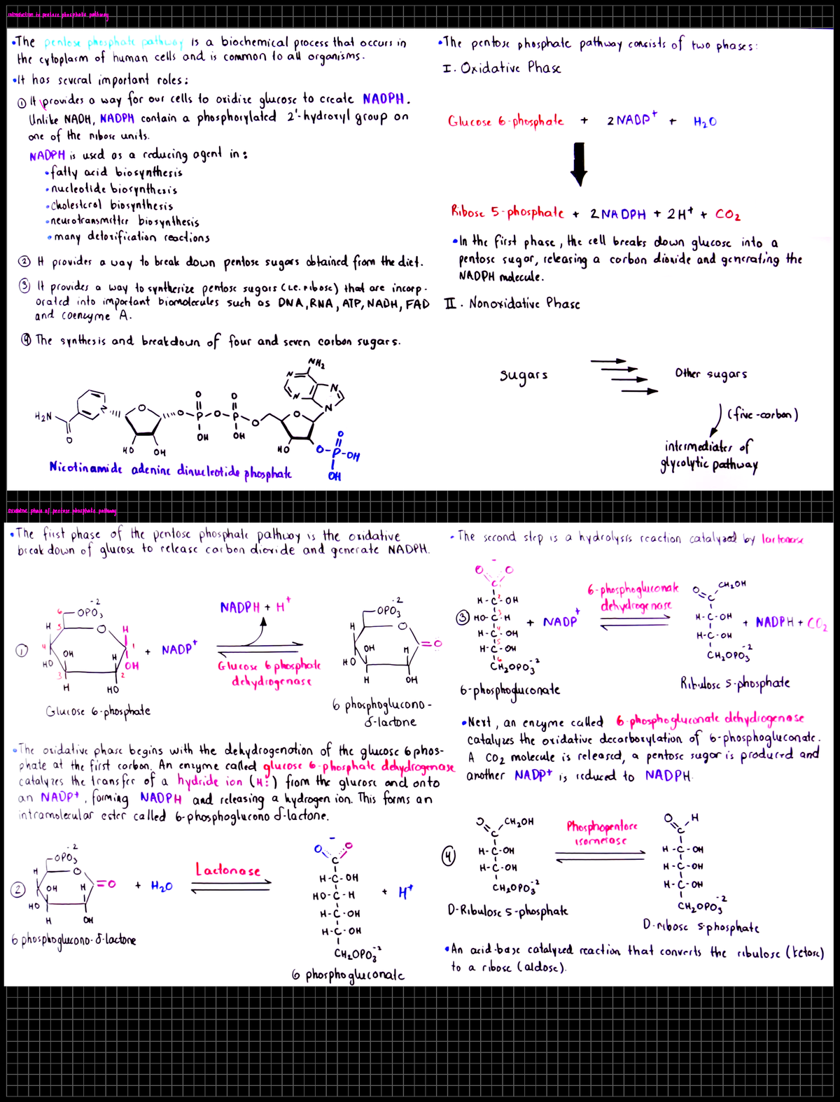 Biochem chp. 20 lecture - BCH3033 - Studocu