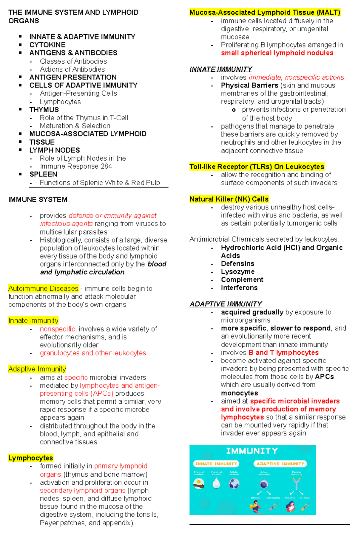 The Immune System and Lymphoid Organ To Print - THE IMMUNE SYSTEM AND ...