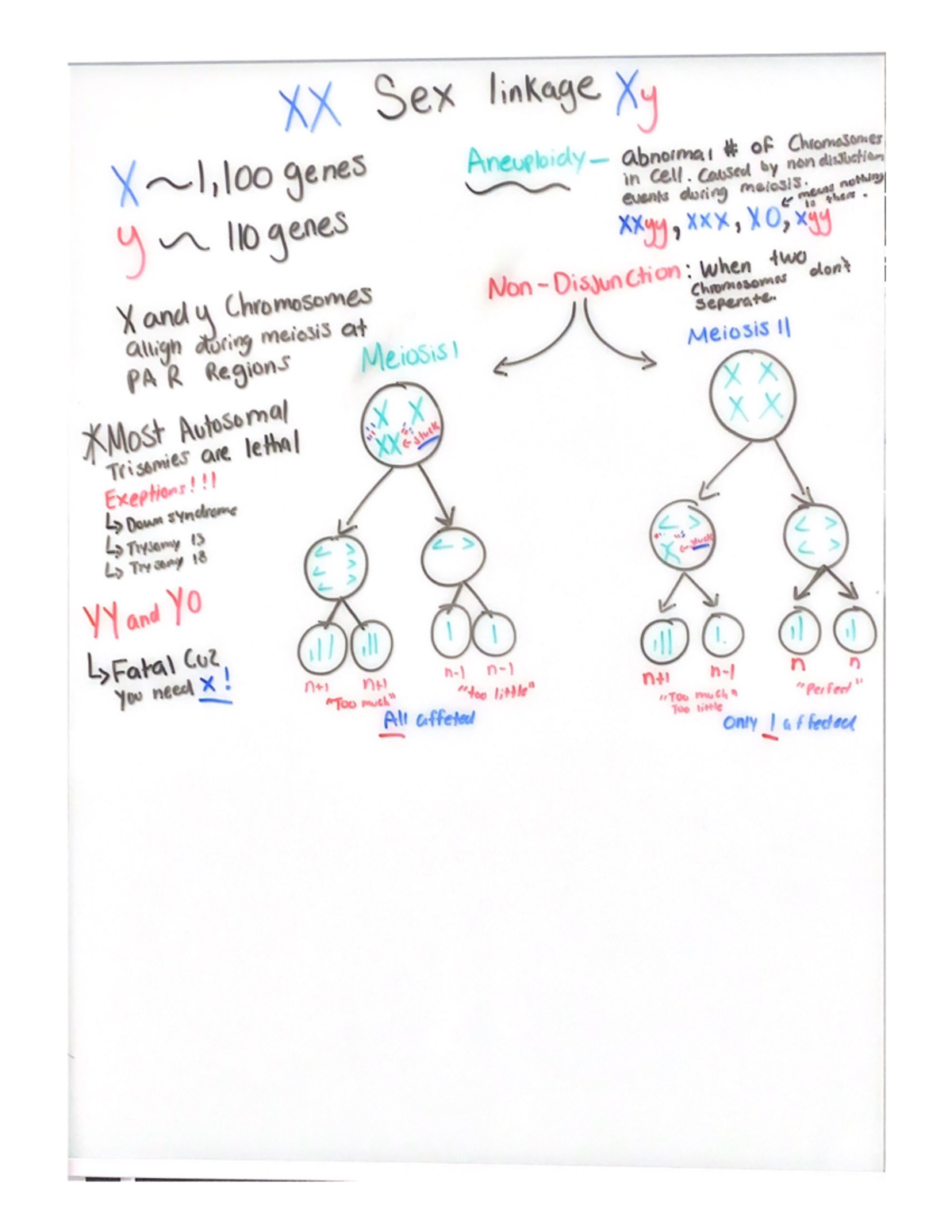 PAR Regions - BIO 325 - Studocu