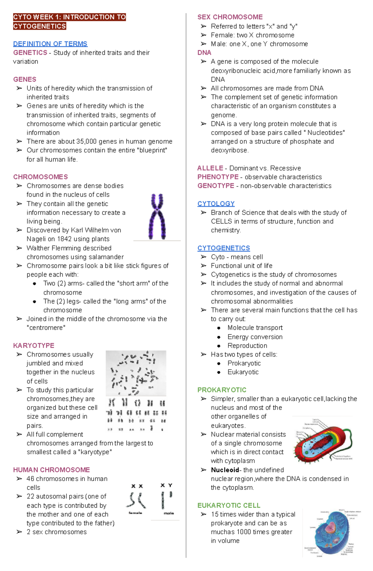 CYTO - Cyto - CYTO WEEK 1: INTRODUCTION TO CYTOGENETICS DEFINITION OF ...