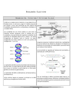 Biologia De Peces - BIOLOGÍA DE PECES ¿Cómo Y Por Qué Son Estudiados ...