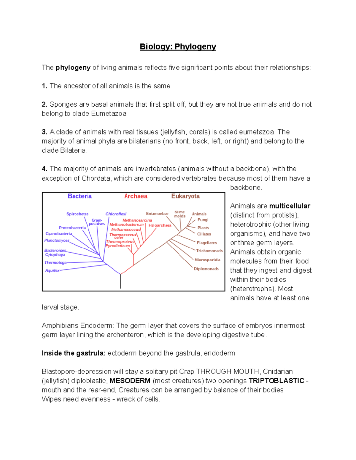 Biology Phylogeny - Biology: Phylogeny The Phylogeny Of Living Animals ...