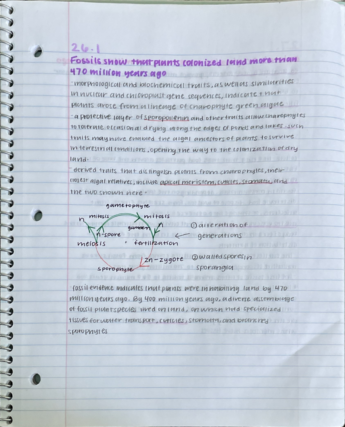 Unit 26 Lesson 1 Notes - MCB 181R - Studocu