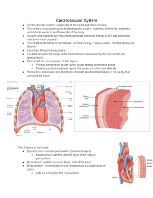 Lab Report Renal Physiology Find the mode of action of a diuretic drug ...