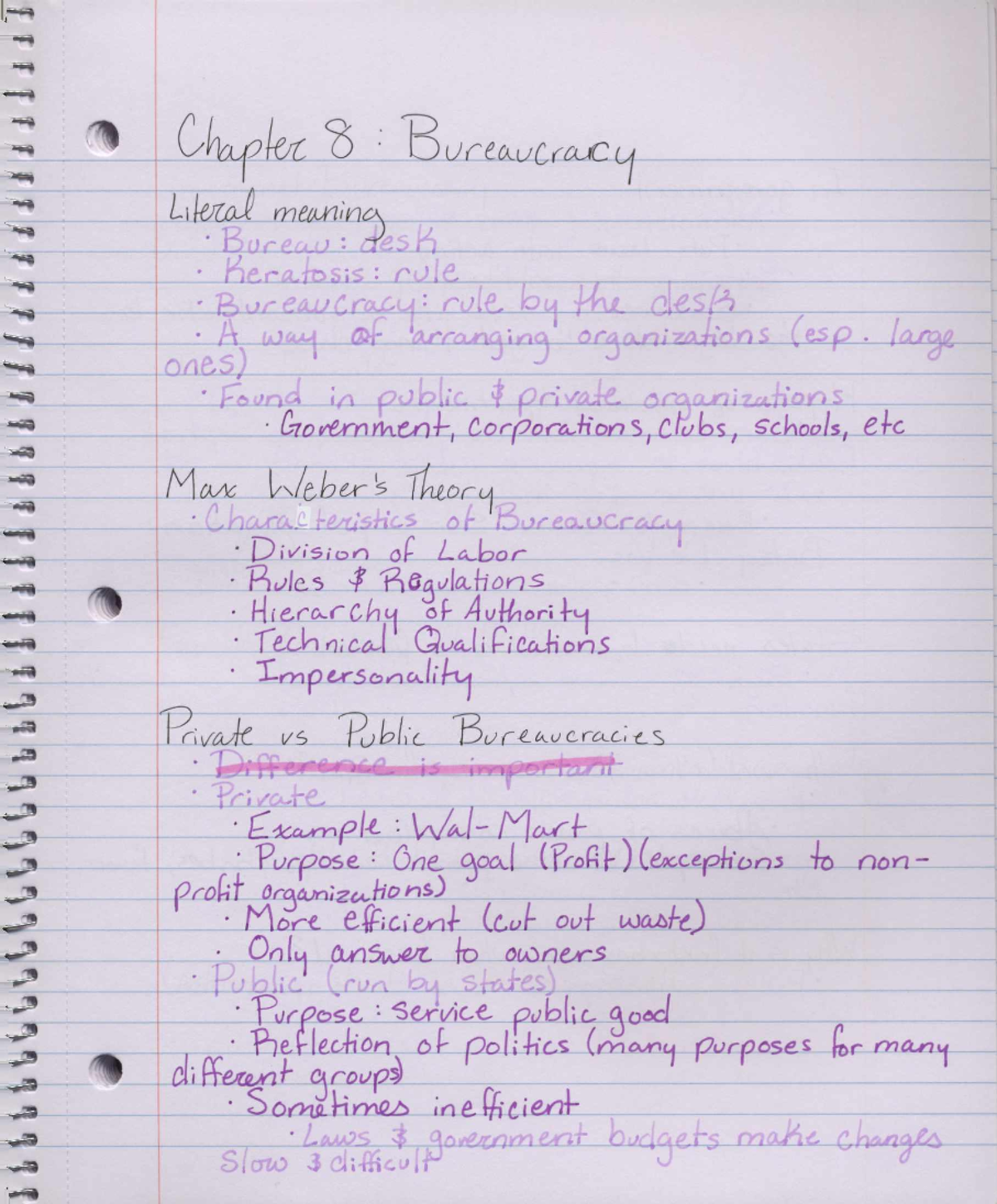 Chapter 8: Bureaucracy - POL 101 - Studocu