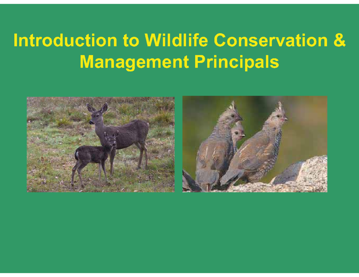 Intro To Wildlife Management CSmith - Introduction To Wildlife ...