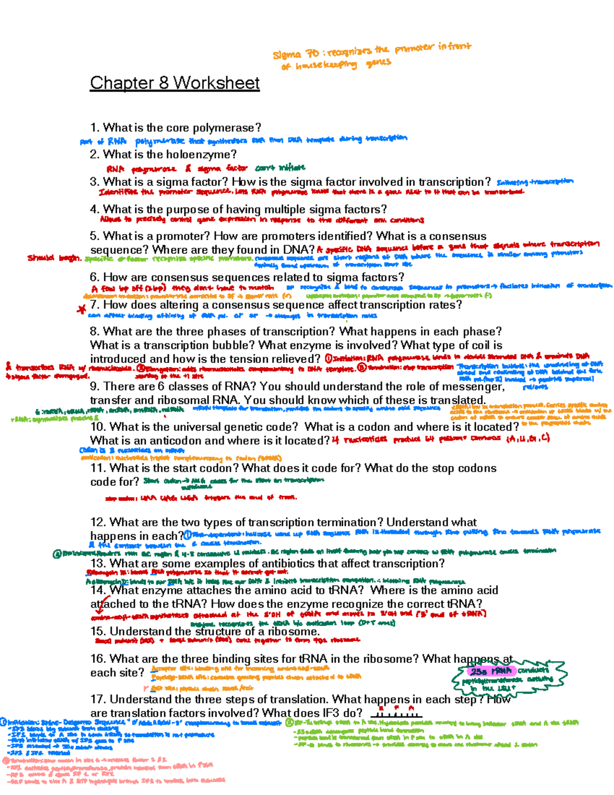 MBIO+3813+Chapter+8+Review+Sheet - Chapter 8 Worksheet 1. What is the ...