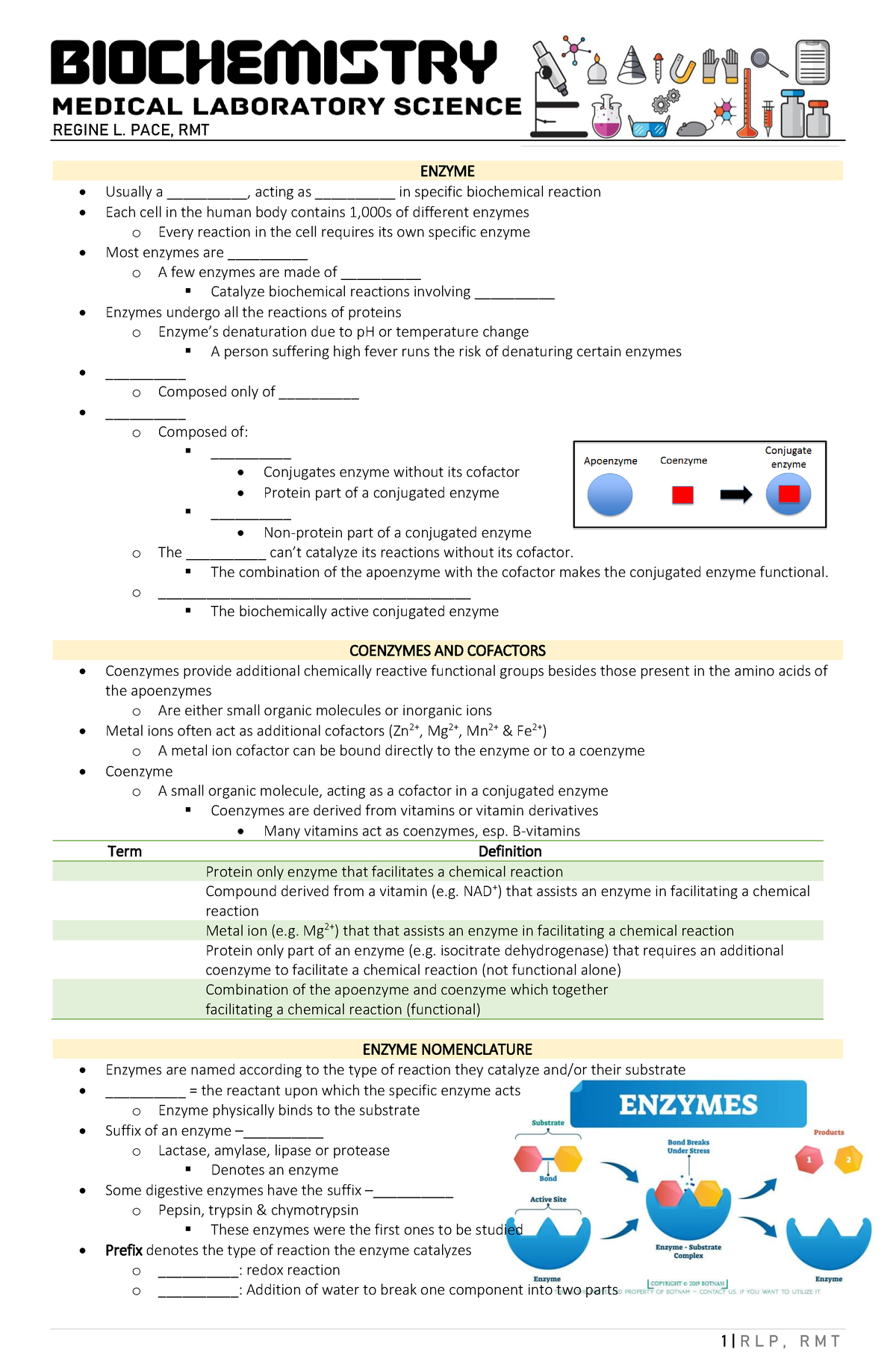 enzyme hypothesis notes